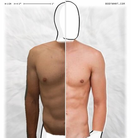 Torso Comparison