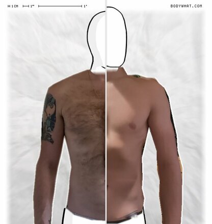 Torso Comparison