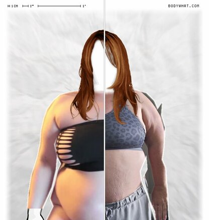 Torso Comparison