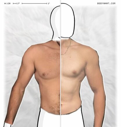 Torso Comparison