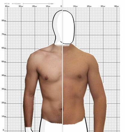 Torso Comparison