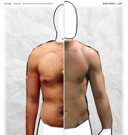 Torso Comparison