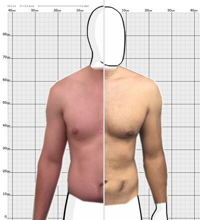 Torso Comparison