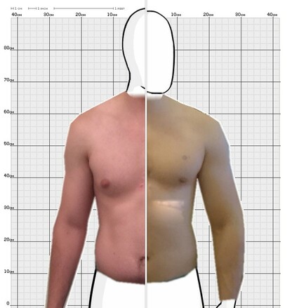 Torso Comparison