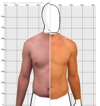 Torso Comparison