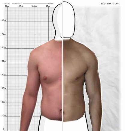 Torso Comparison