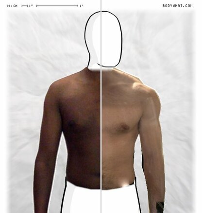 Torso Comparison