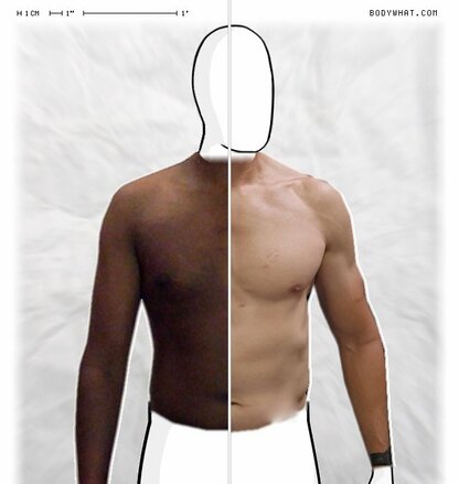 Torso Comparison