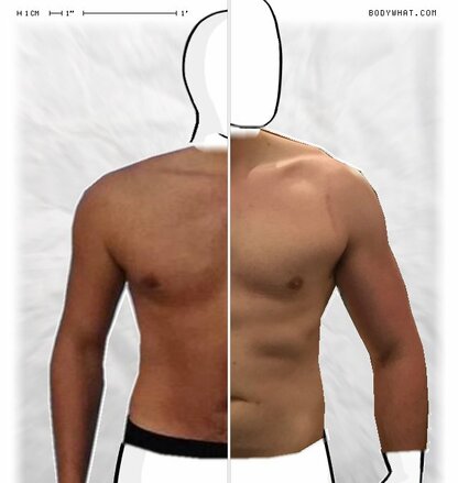 Torso Comparison