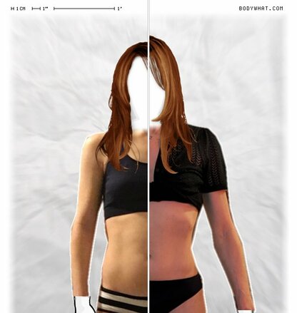 Torso Comparison