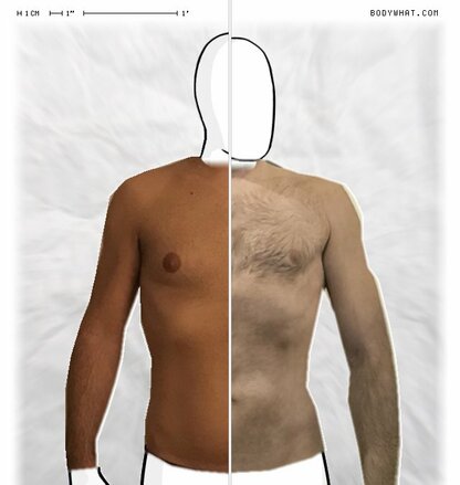 Torso Comparison