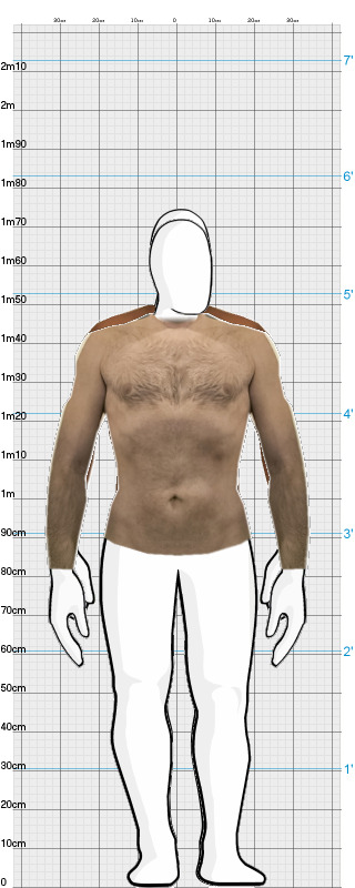 Full Size Comparison