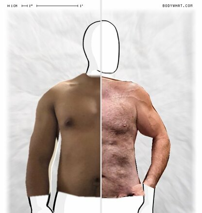 Torso Comparison