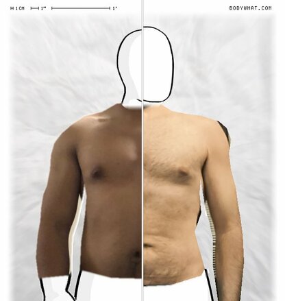 Torso Comparison