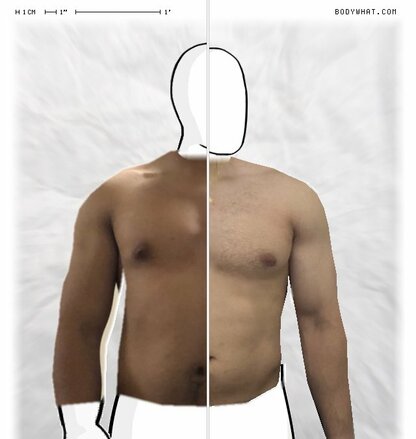 Torso Comparison