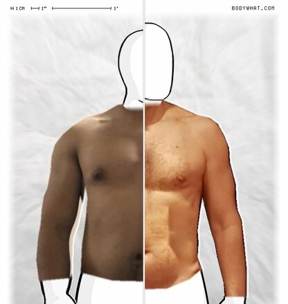 Torso Comparison