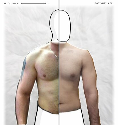 Torso Comparison