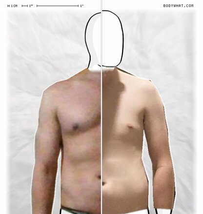 Torso Comparison