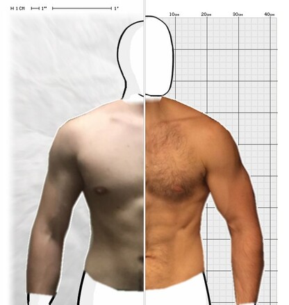 Torso Comparison