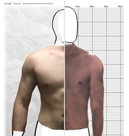 Torso Comparison