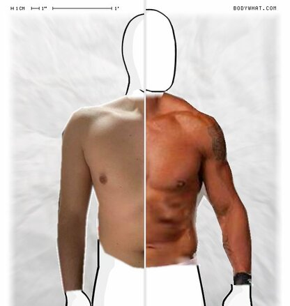 Torso Comparison