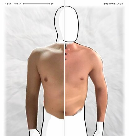 Torso Comparison