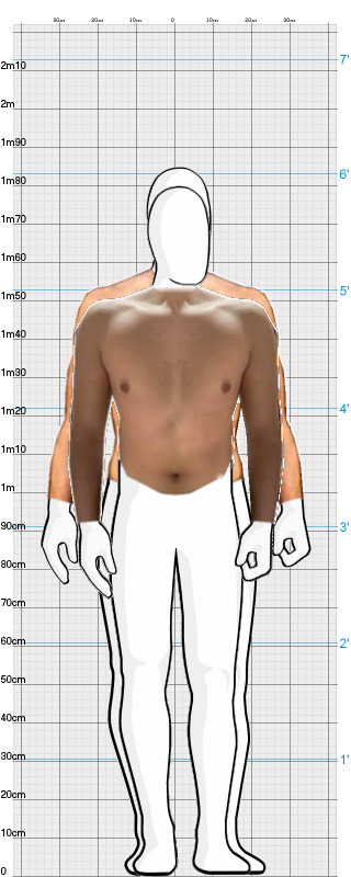 Full Size Comparison