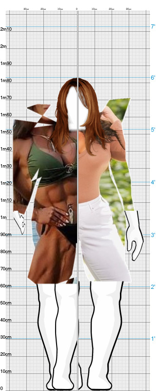 Full Size Comparison