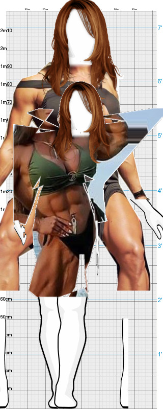 Full Size Comparison