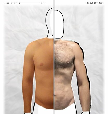 Torso Comparison