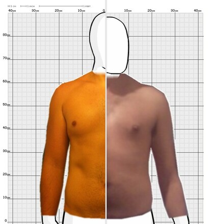 Torso Comparison