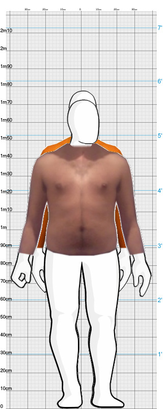 Full Size Comparison