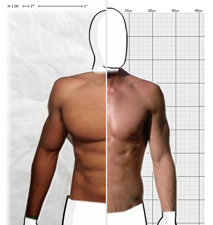 Torso Comparison