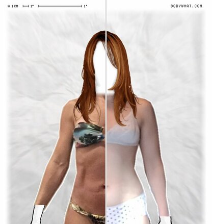 Torso Comparison