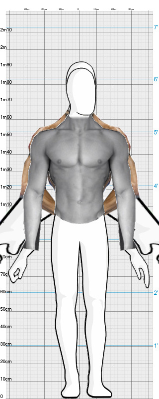 Full Size Comparison