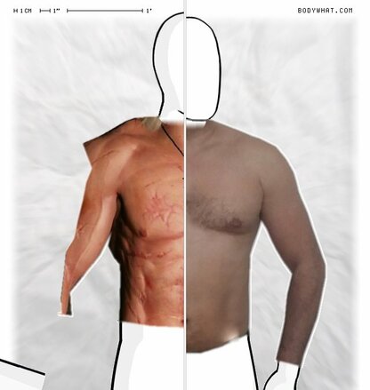 Torso Comparison