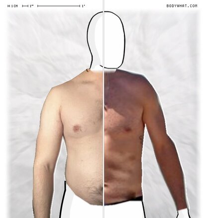 Torso Comparison