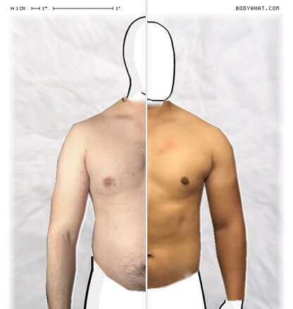 Torso Comparison