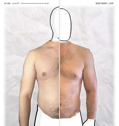Torso Comparison