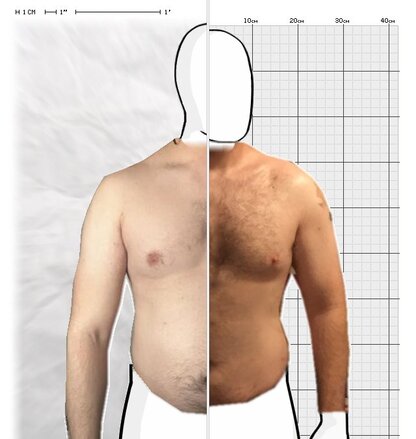 Torso Comparison