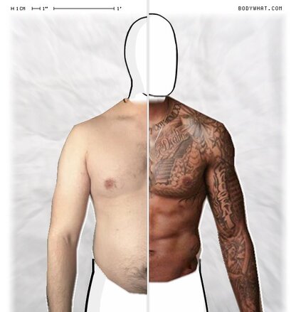 Torso Comparison