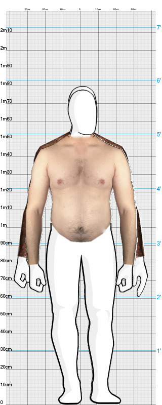 Full Size Comparison