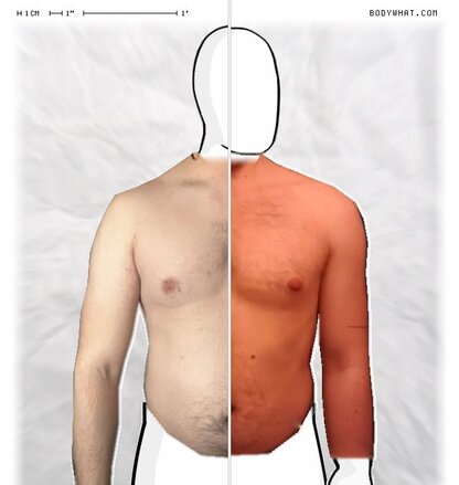 Torso Comparison