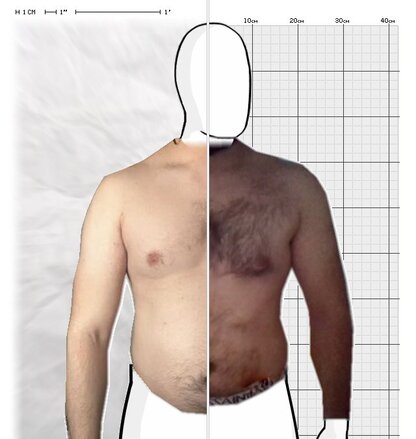 Torso Comparison
