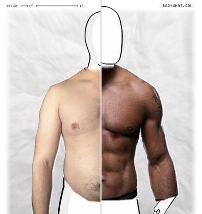Torso Comparison