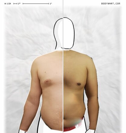 Torso Comparison