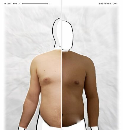 Torso Comparison