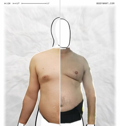 Torso Comparison