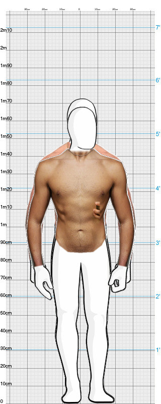Full Size Comparison
