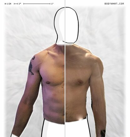 Torso Comparison